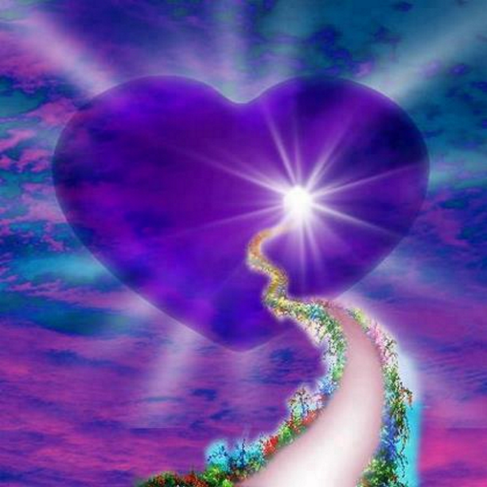 cœur violet et chemin